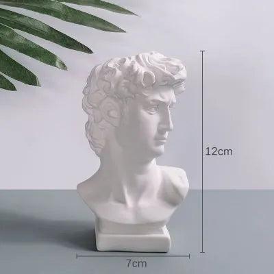 Vaso Hidropônico para Decoração Carpetino